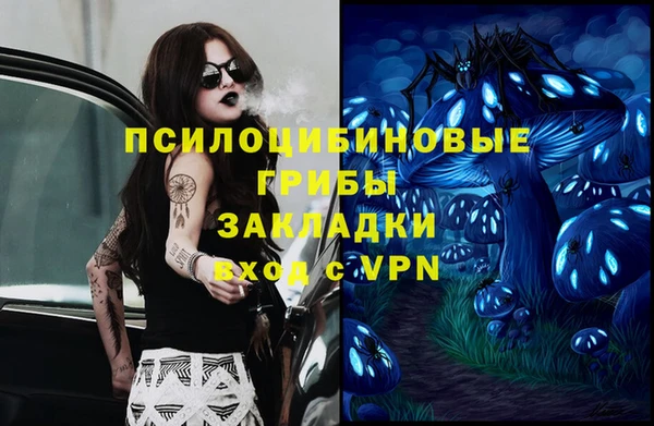 a pvp Богородск
