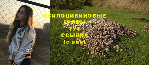 кокаин премиум Бородино