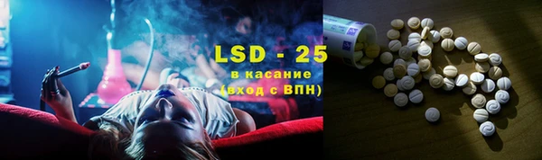 индика Бронницы