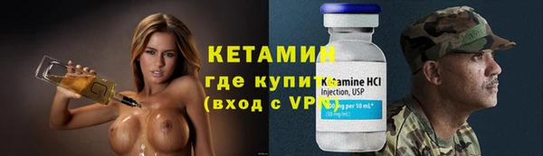 индика Бронницы