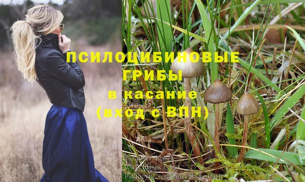 каннабис Богородицк