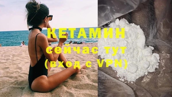 индика Бронницы